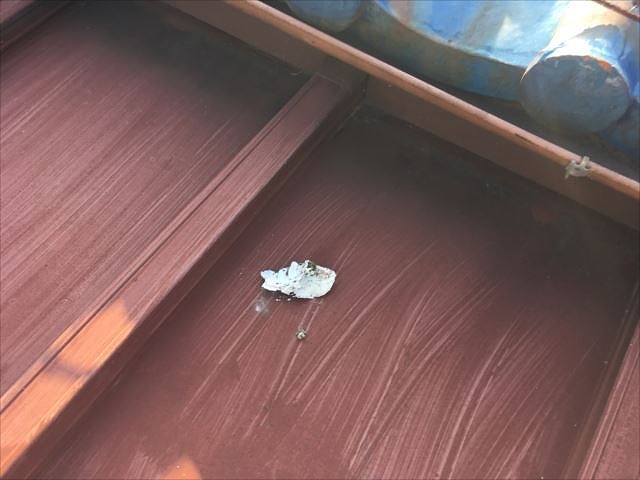 漆喰のカケラ
